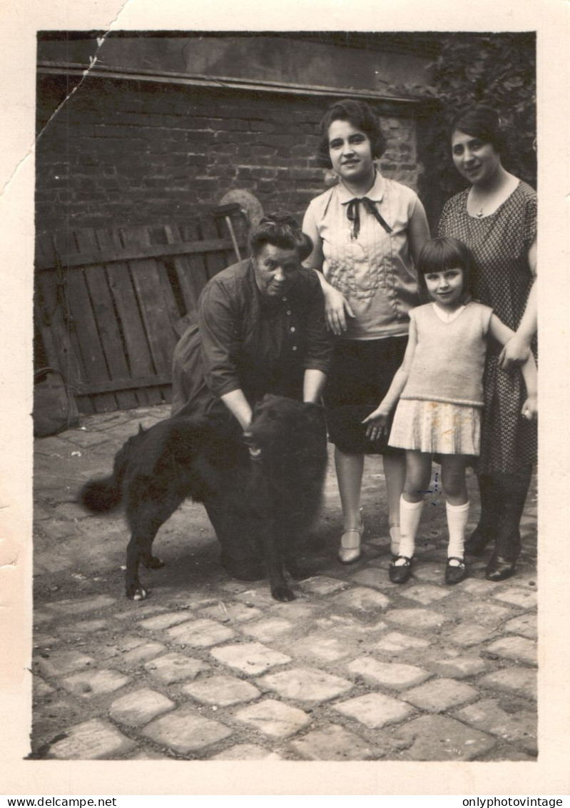 Francia 1929, Cane A Casa Di Madame Sestriére, Foto, Vintage Photo - Plaatsen