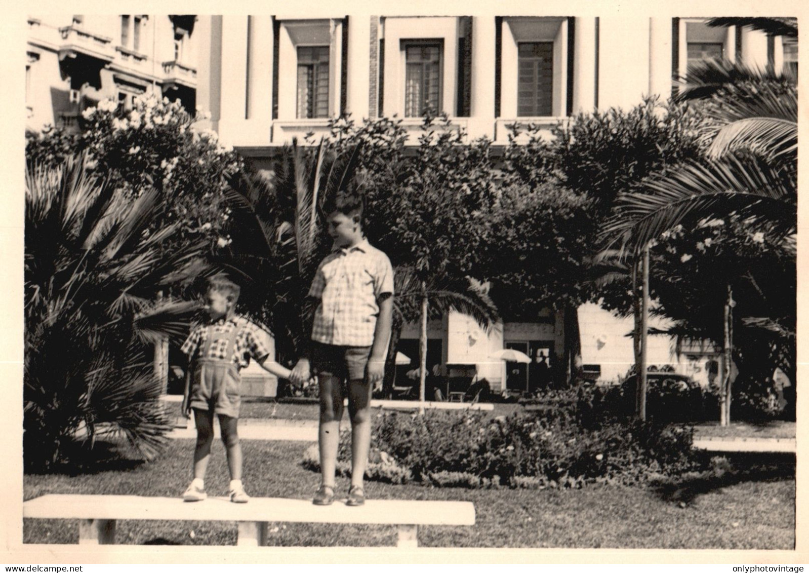 Salerno 1956, Scorcio Di Un Parco, Fotografia Epoca, Vintage Photo - Plaatsen