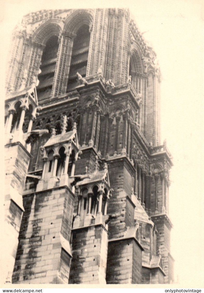 Francia 1956, Parigi, Gotico Di Notre-Dame, Foto Epoca, Vintage Photo - Plaatsen