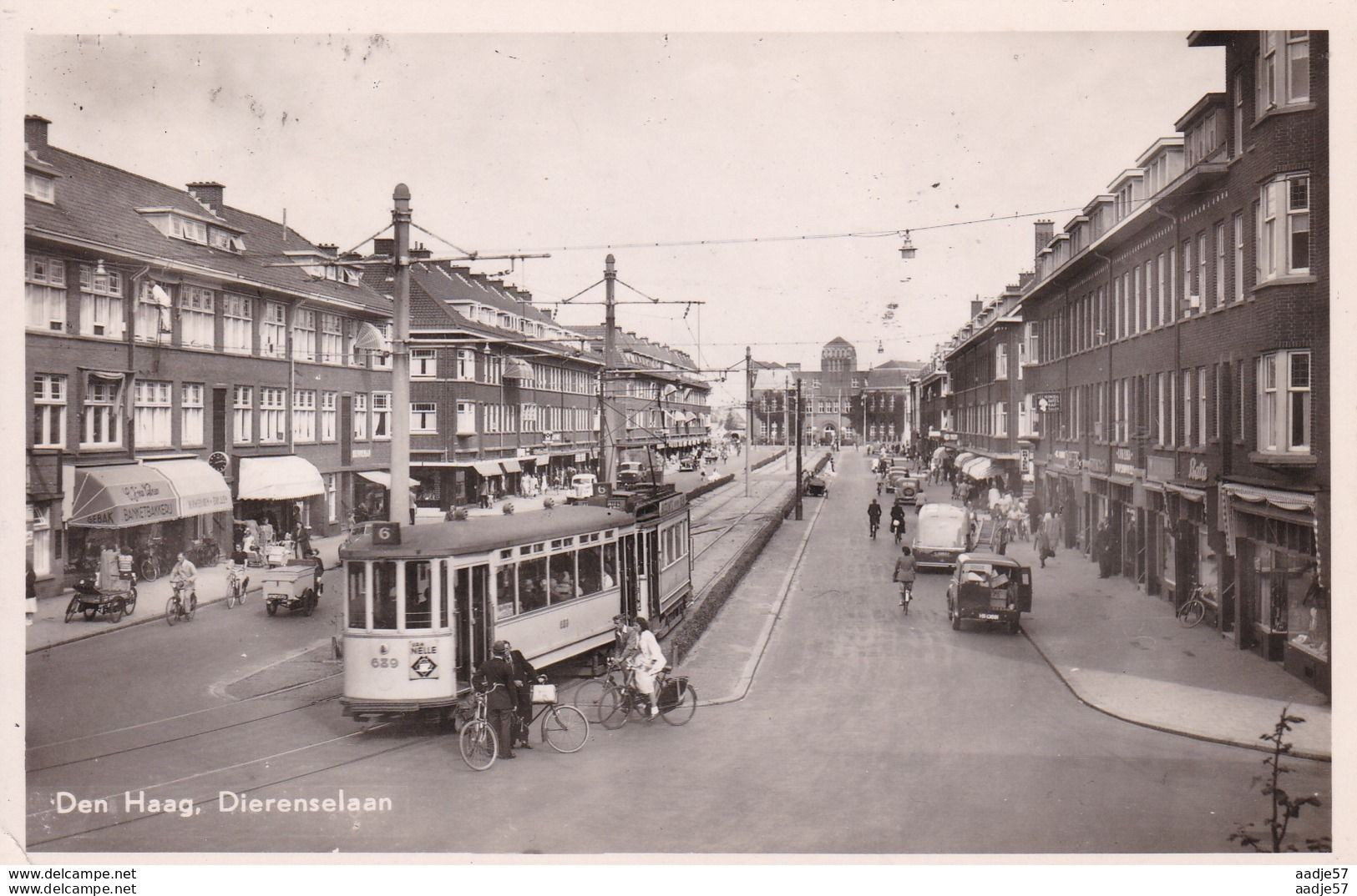 Netherlands Pays Bas Den Haag Dierenselaan Tramway 1953 - Tranvía