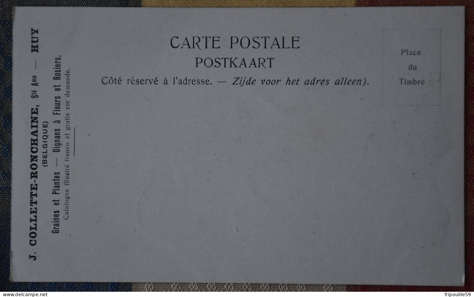 Carte Privée - Huy - J. Collette-Ronchaine - Graines EtPlantes, Oignons à Fleurs Et Rosiers - 1900 ! - Hoei