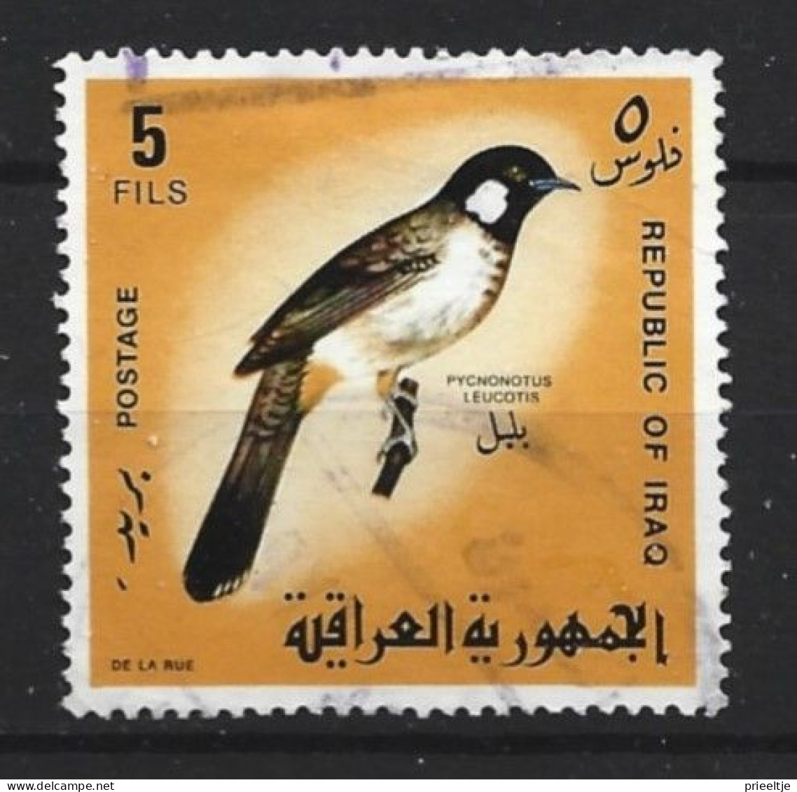 Irak  1968 Bird   Y.T. 487 (0) - Iraq