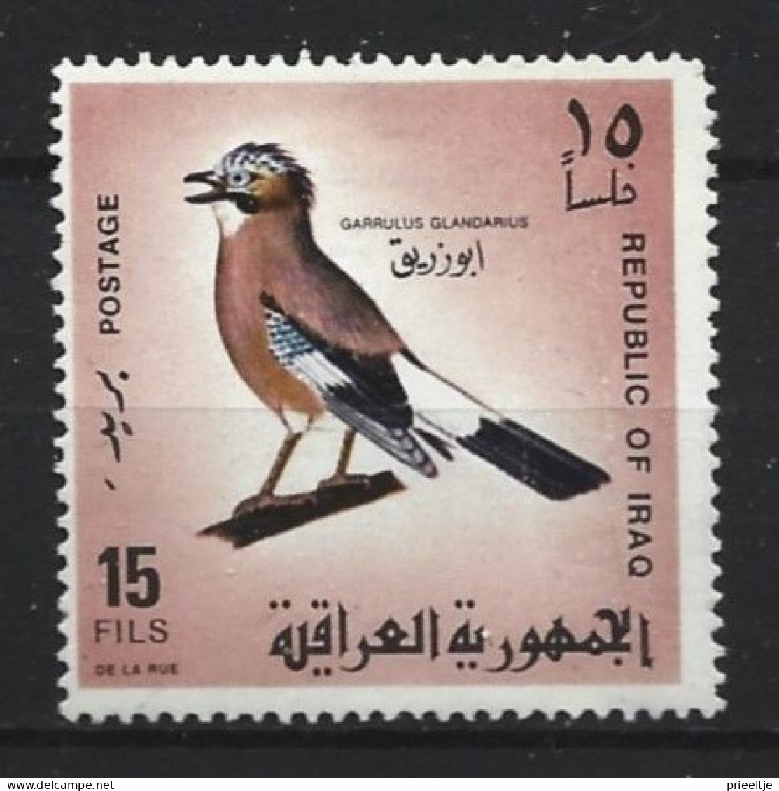Irak  1968 Bird   Y.T. 489 (0) - Iraq