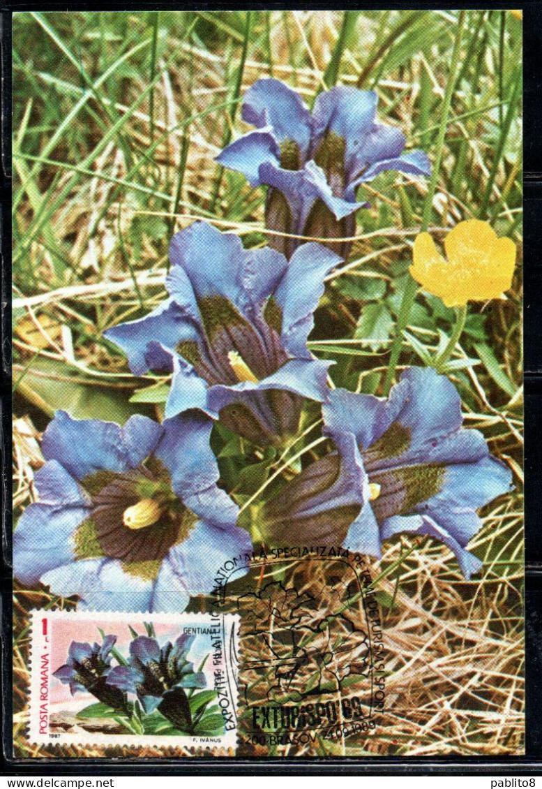 ROMANIA 1987 FLORA AND FAUNA FLOWERS GENTIANA EXCISA FLOWER 1L MAXI MAXIMUM CARD - Cartoline Maximum