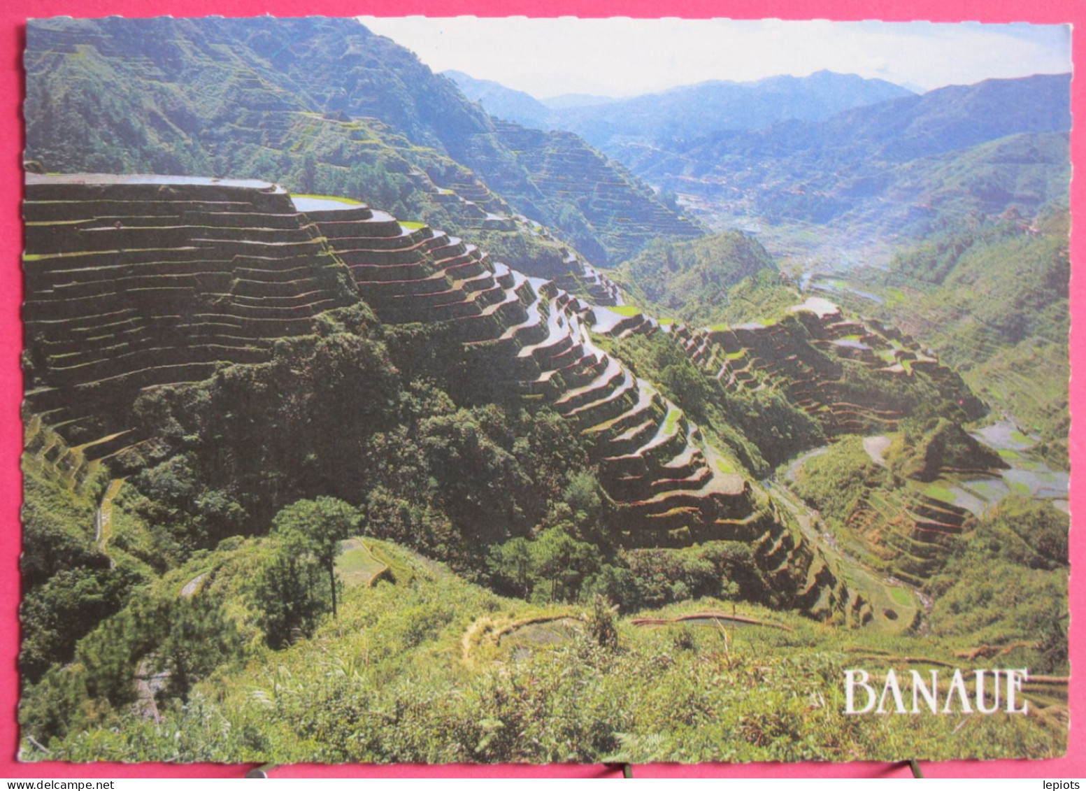 Philippines - Banaue - World Famous Banaue Rice Terraces - Philippinen