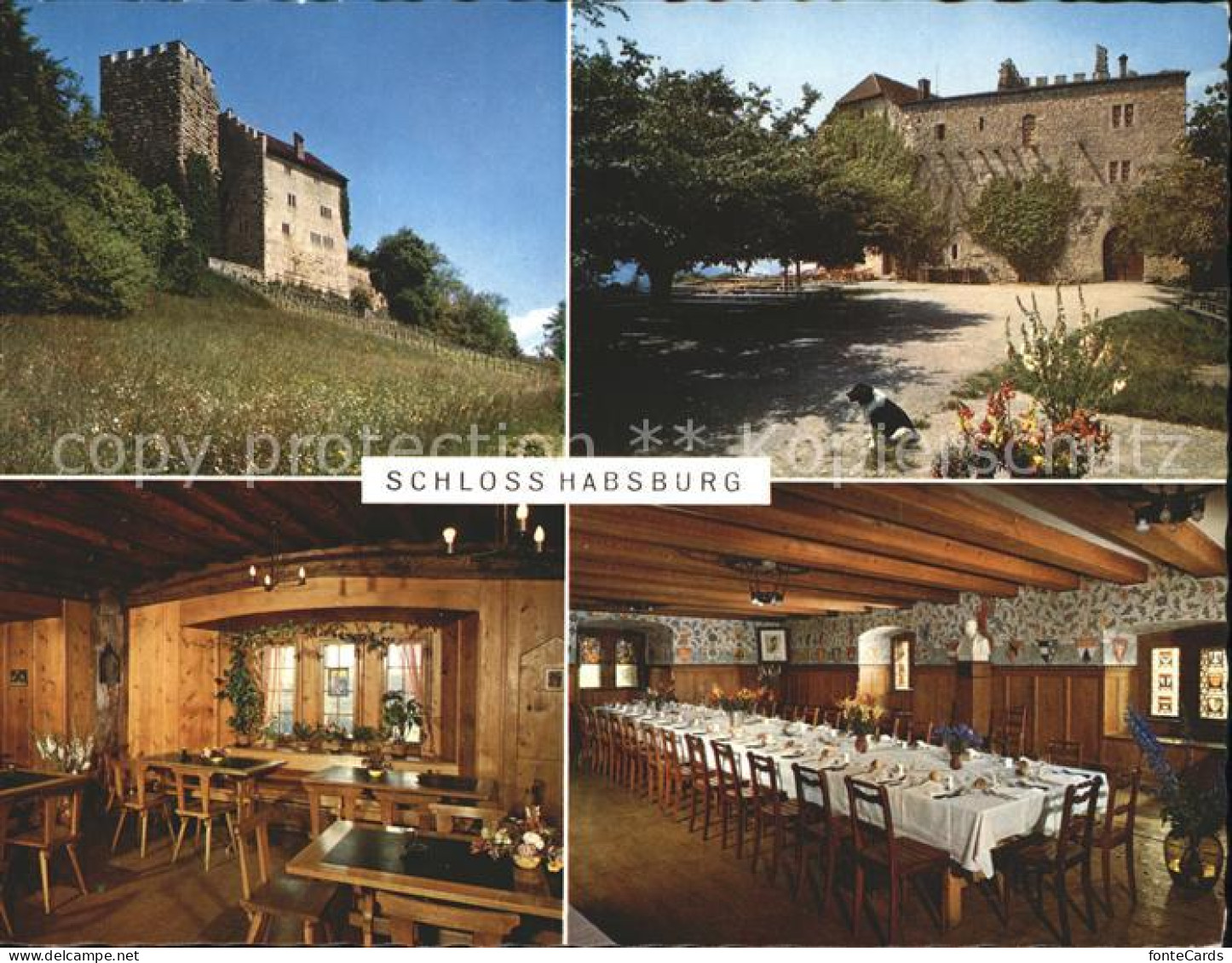 11896788 Brugg AG Schloss Habsburg Restaurant Garten Speisesaal Brugg AG - Sonstige & Ohne Zuordnung