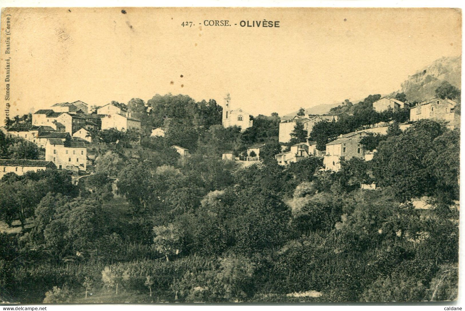 - 2A-CORSE  -   OLIVESE - Other & Unclassified