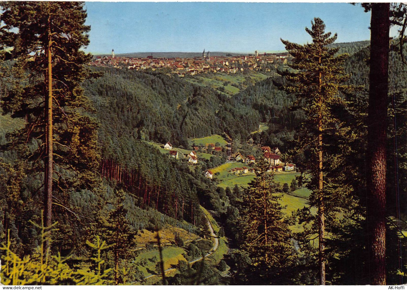 FREUDENSTADT Im Schwarzwald - Blick Vom Friedrichstal - Freudenstadt