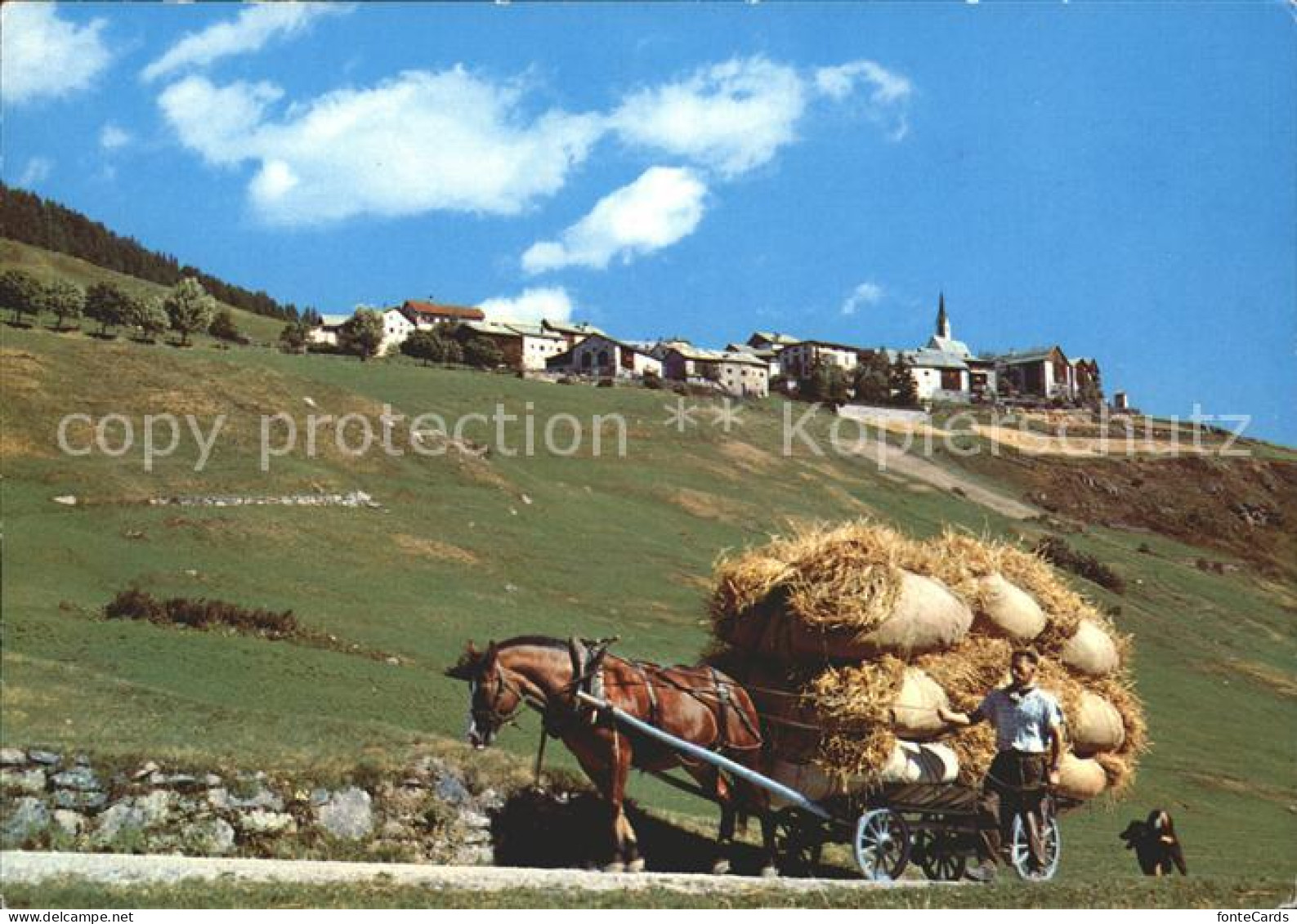 11896661 Guarda Inn Panorama Heuerntewagen Guarda - Otros & Sin Clasificación