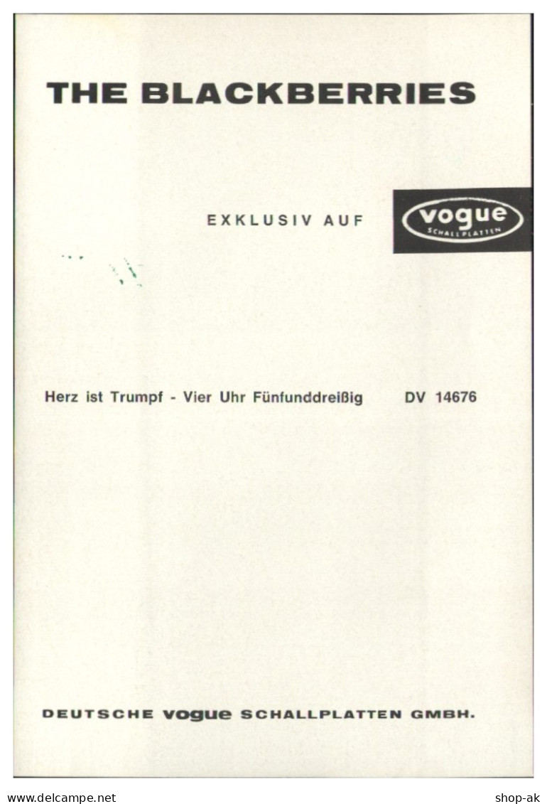 Y29018/ The Blackberries Beat- Popband  Autogramme Autogrammkarte 60er Jahre - Autógrafos