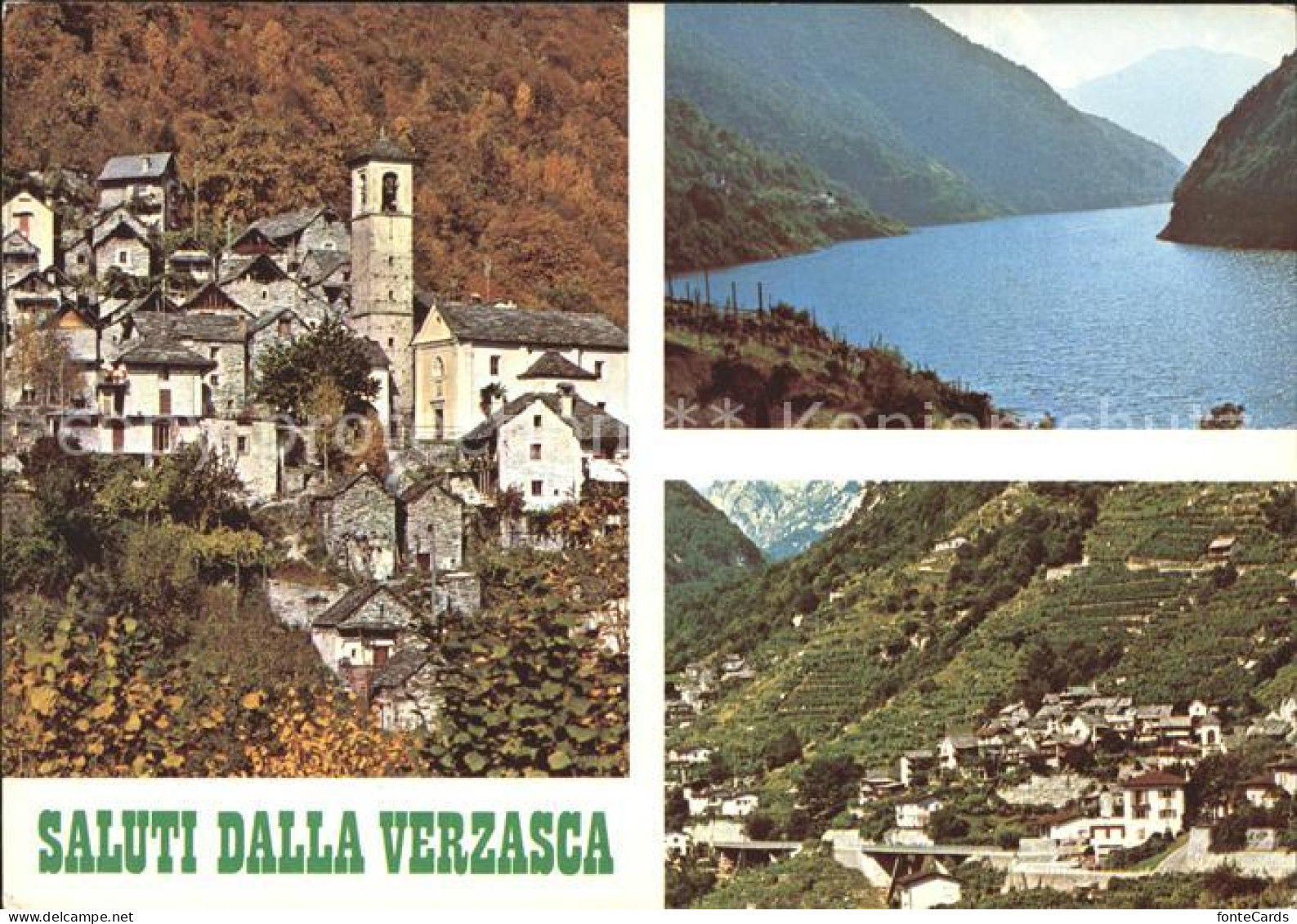 11896554 Verzasca Ortsansicht Panorama Locarno - Other & Unclassified