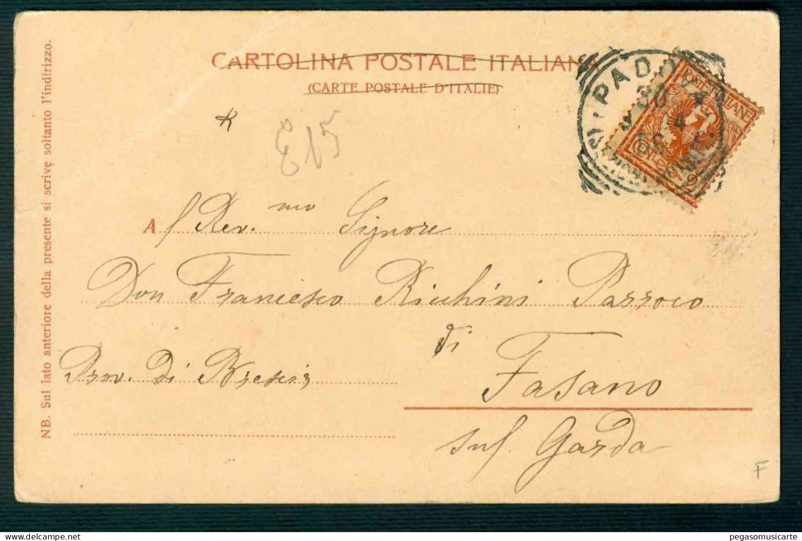 BF167 BELLUNO PALAZZO MUNICIPALE 1904 - Belluno
