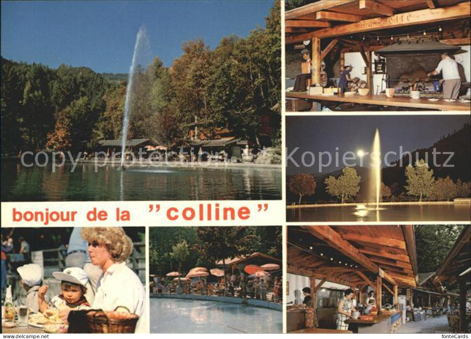 11896304 Chamoson La Colline Aux Oiseaux Restaurant Fontaine Details Chamoson - Autres & Non Classés