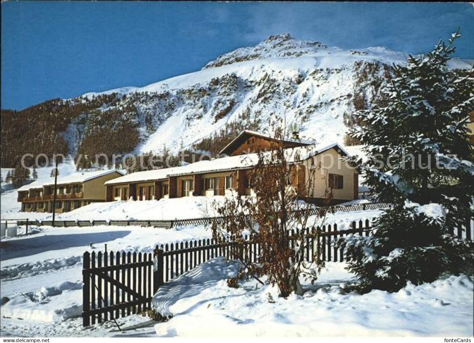 11891490 Samedan Ferien Und Skihaus Der Eisenbahner Bern Samedan  - Autres & Non Classés