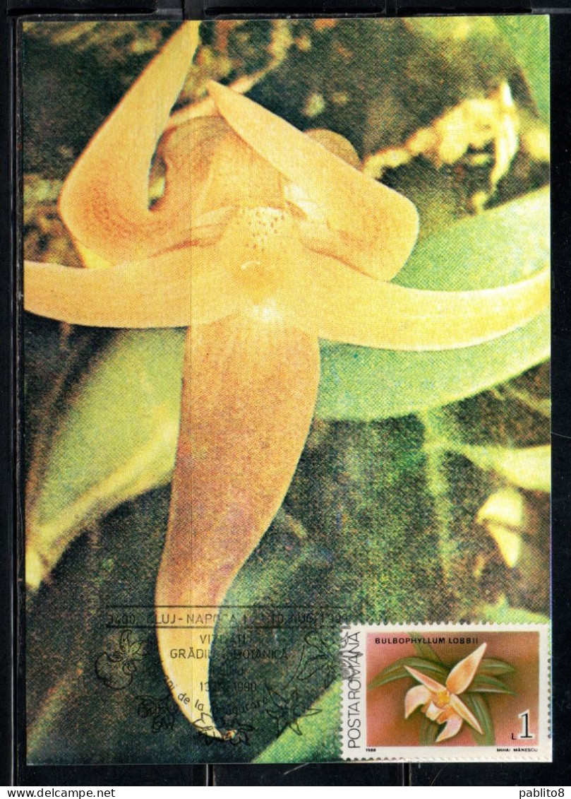 ROMANIA 1988 FLORA FLOWERS ORCHIDS BULBOPHYLLUM LOBBII FLOWER ORCHID 1L MAXI MAXIMUM CARD - Cartoline Maximum