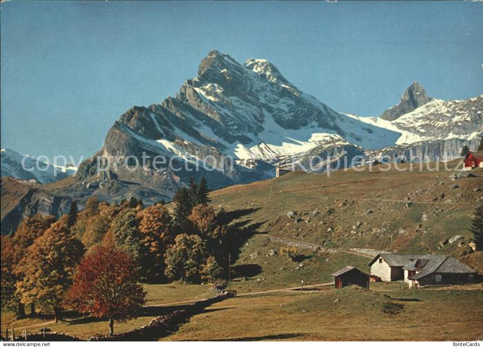 11891404 Braunwald GL Braunwaldalp Mit Clariden Ortstock Hoher Turm Braunwald - Otros & Sin Clasificación