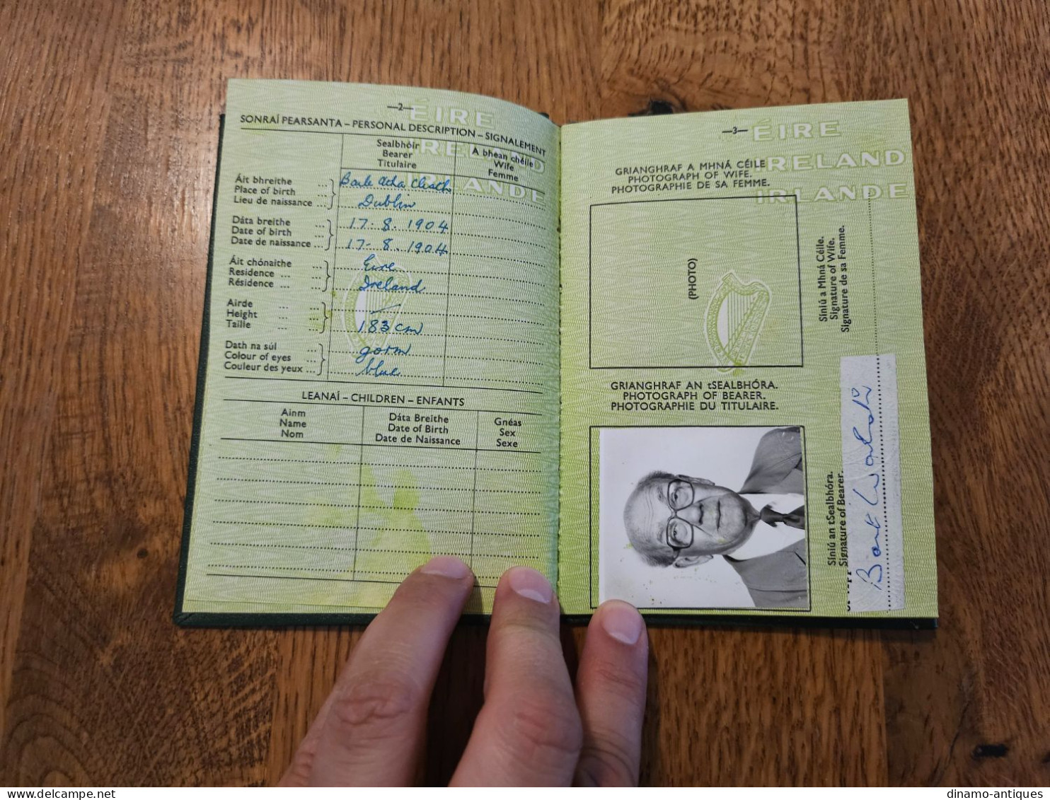 1981 Ireland Eire Passport Passeport Reisepass Issued In Dublin - Great Condition - Historical Documents