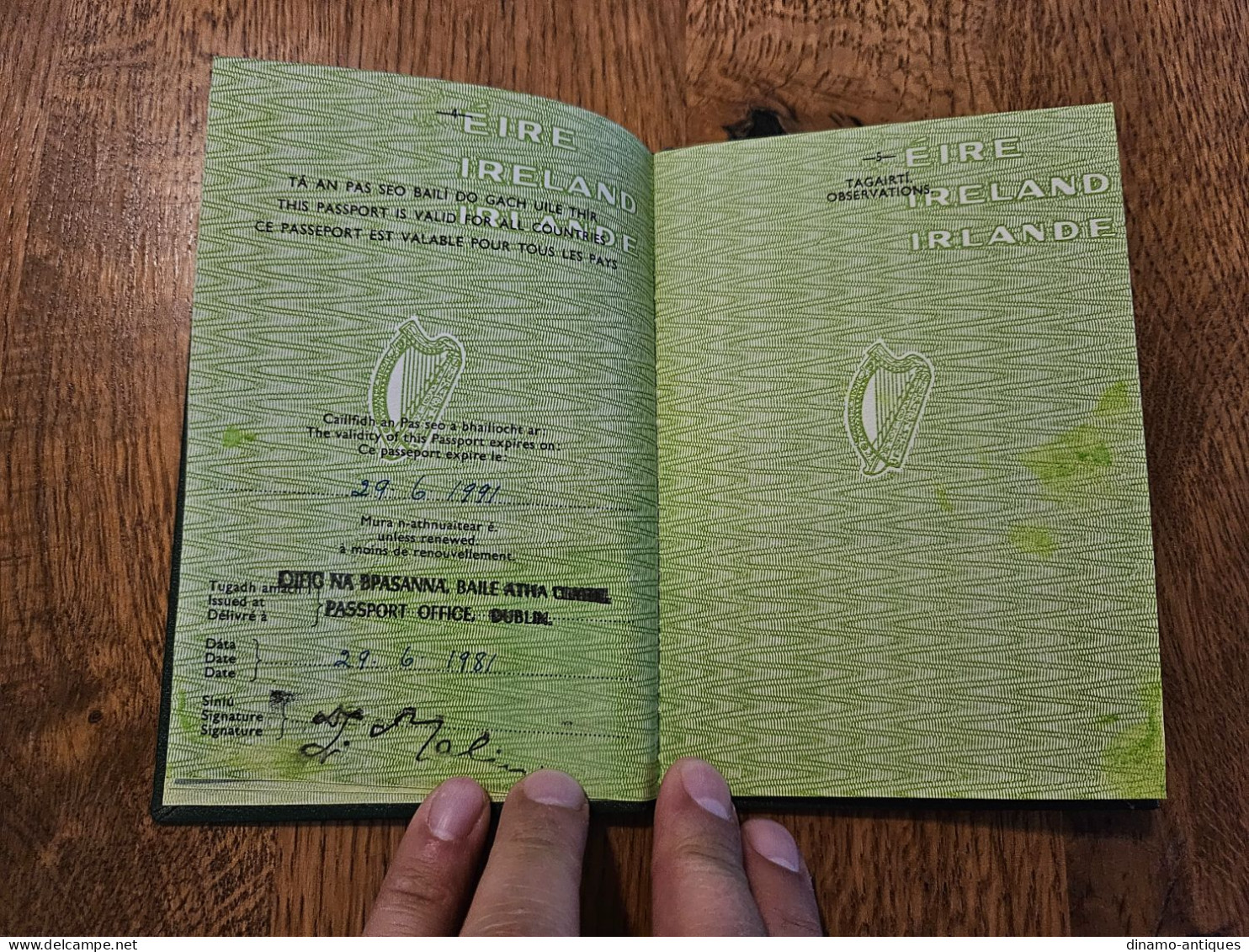 1981 Ireland Eire Passport Passeport Reisepass Issued In Dublin - Great Condition - Documents Historiques