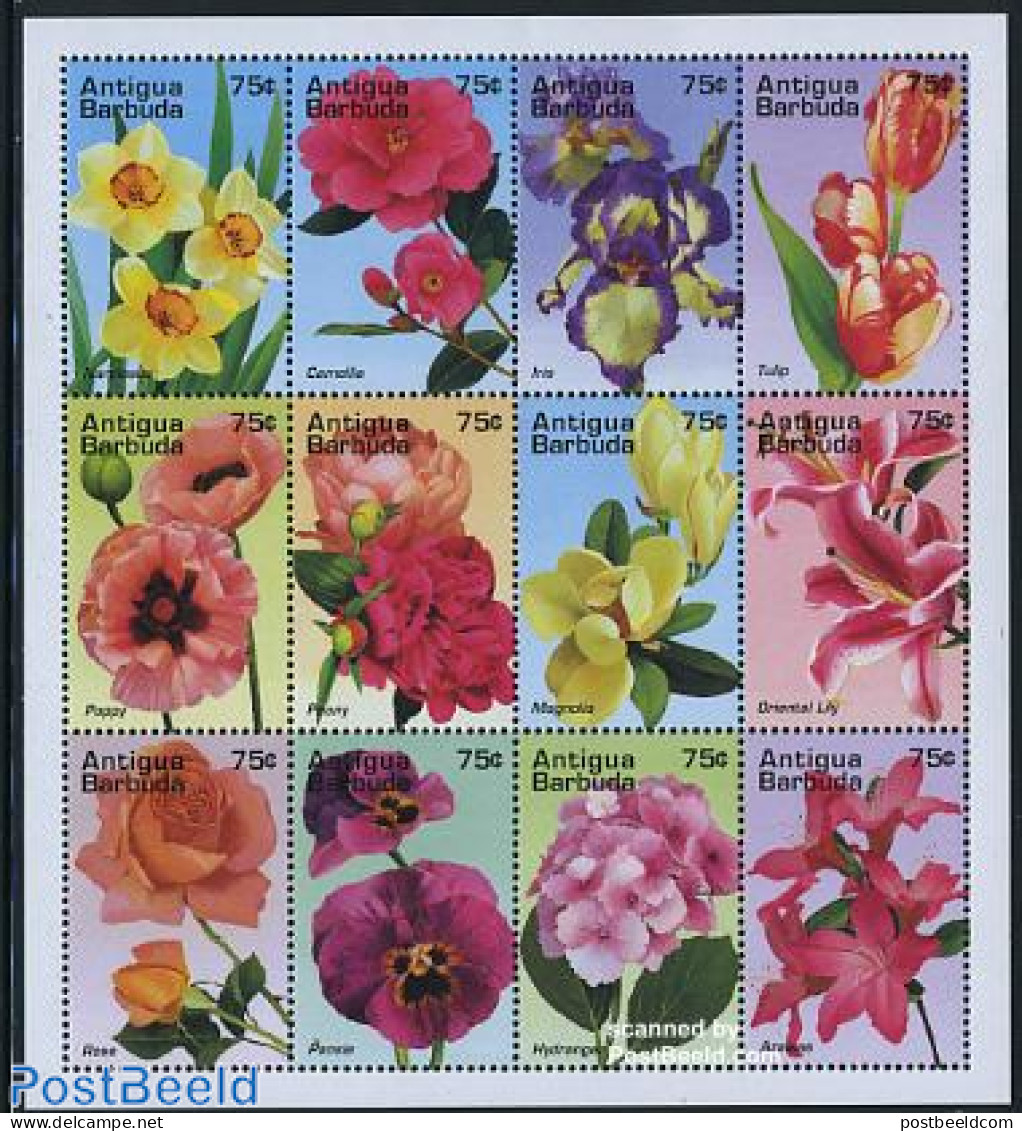 Antigua & Barbuda 1995 Flowers 12v M/s, Mint NH, Nature - Flowers & Plants - Antigua Und Barbuda (1981-...)