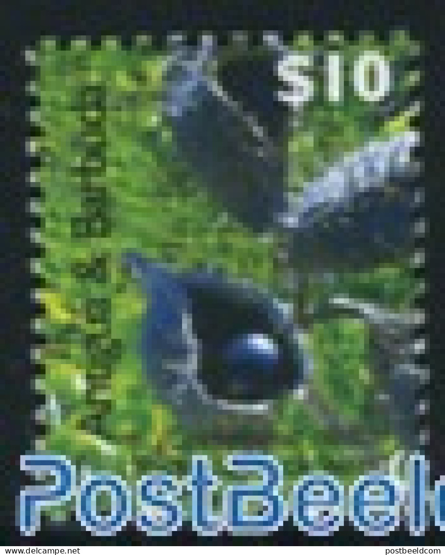 Antigua & Barbuda 2007 Definitive, Flora 10$ 1v, Mint NH, Nature - Fruit - Obst & Früchte