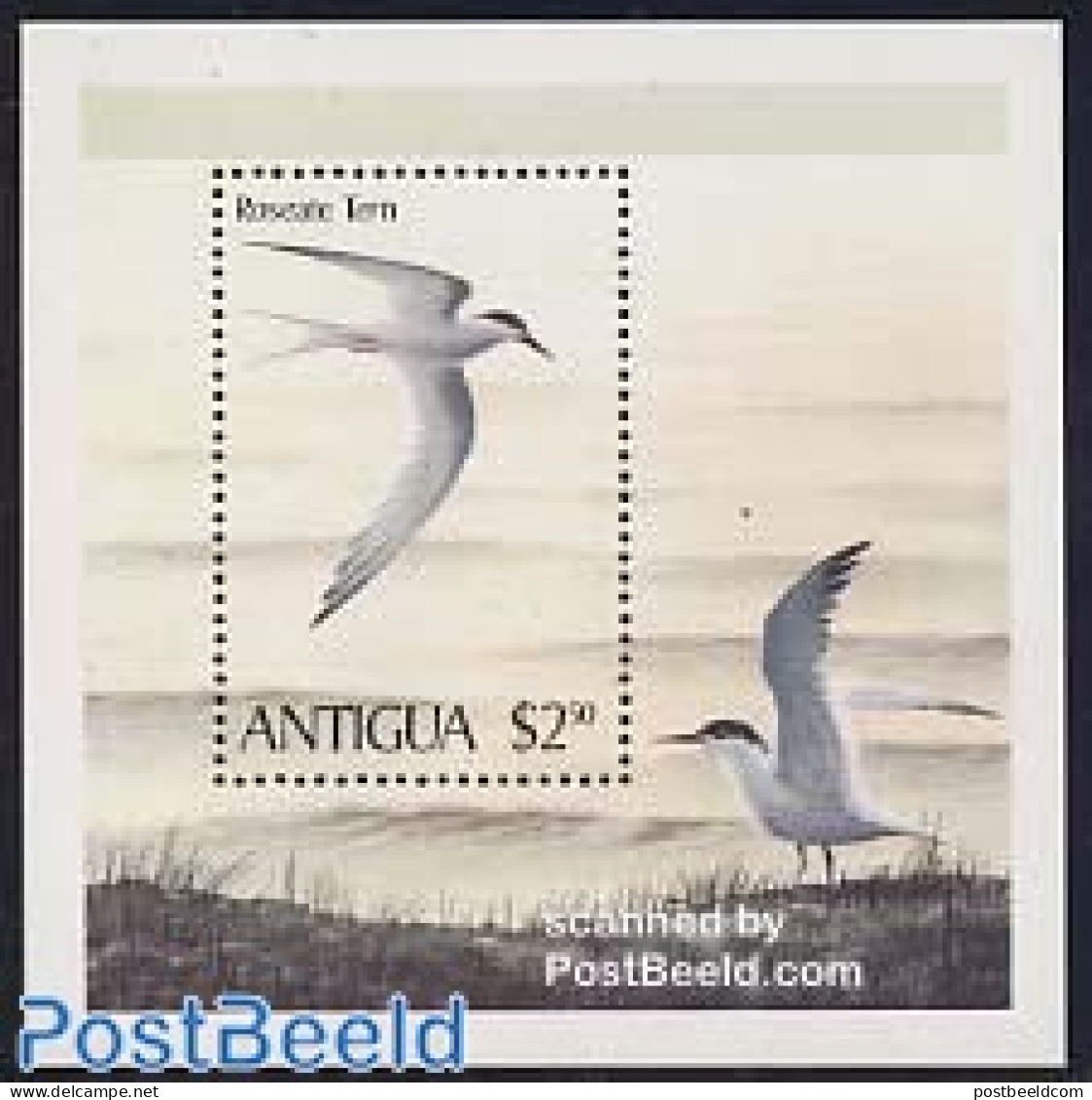 Antigua & Barbuda 1980 Birds S/s, Mint NH, Nature - Birds - Antigua And Barbuda (1981-...)