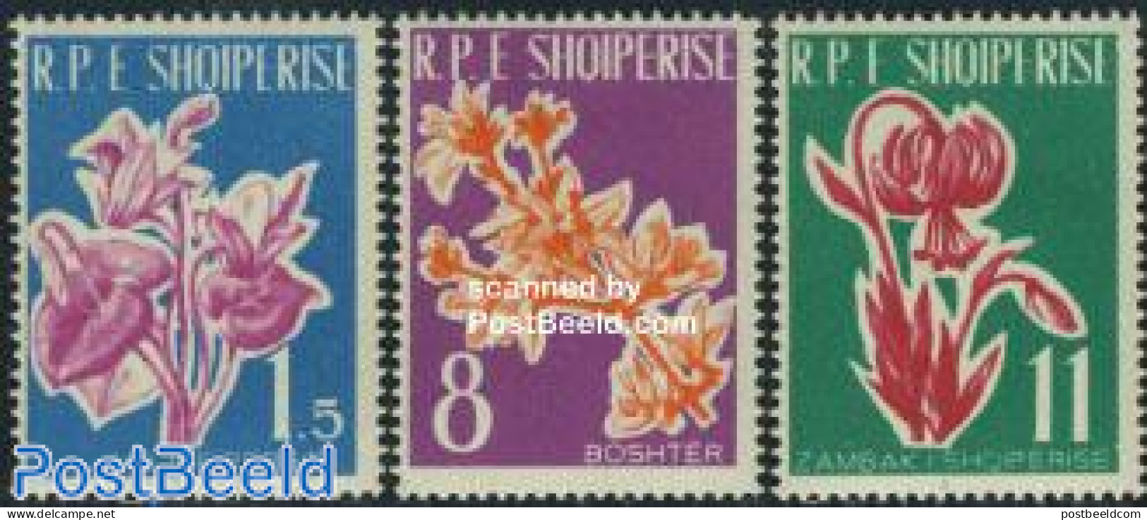 Albania 1961 Flowers 3v, Mint NH, Nature - Flowers & Plants - Albanien