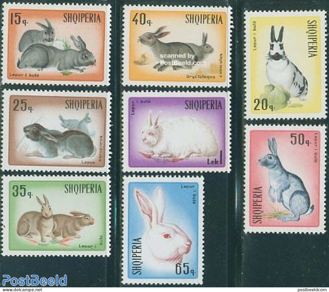 Albania 1967 Rabbits 8v, Mint NH, Nature - Animals (others & Mixed) - Rabbits / Hares - Albanie