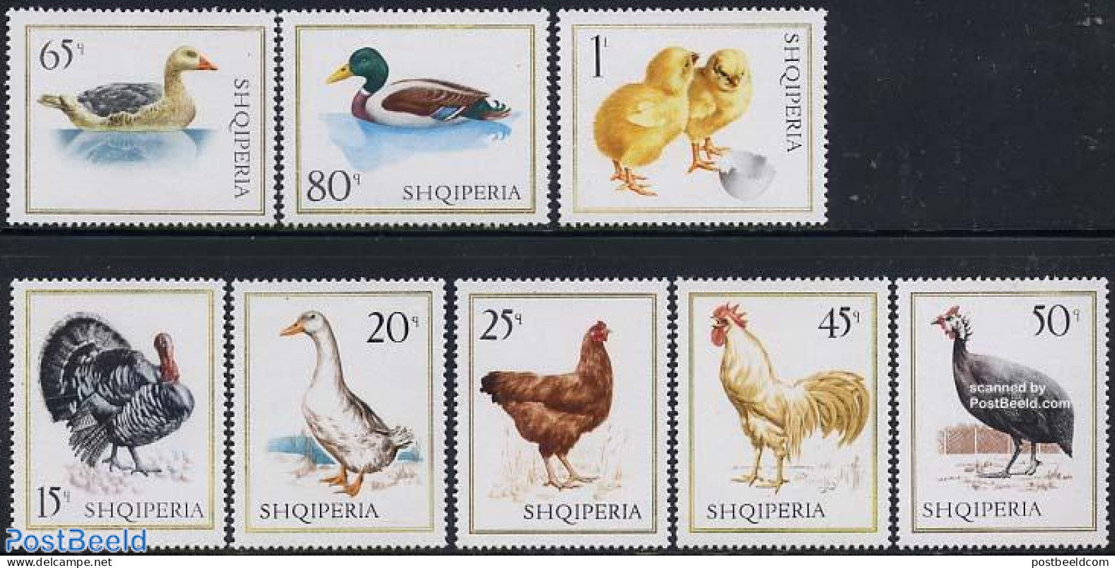 Albania 1967 Poultry 8v, Mint NH, Nature - Birds - Ducks - Poultry - Geese - Albanie