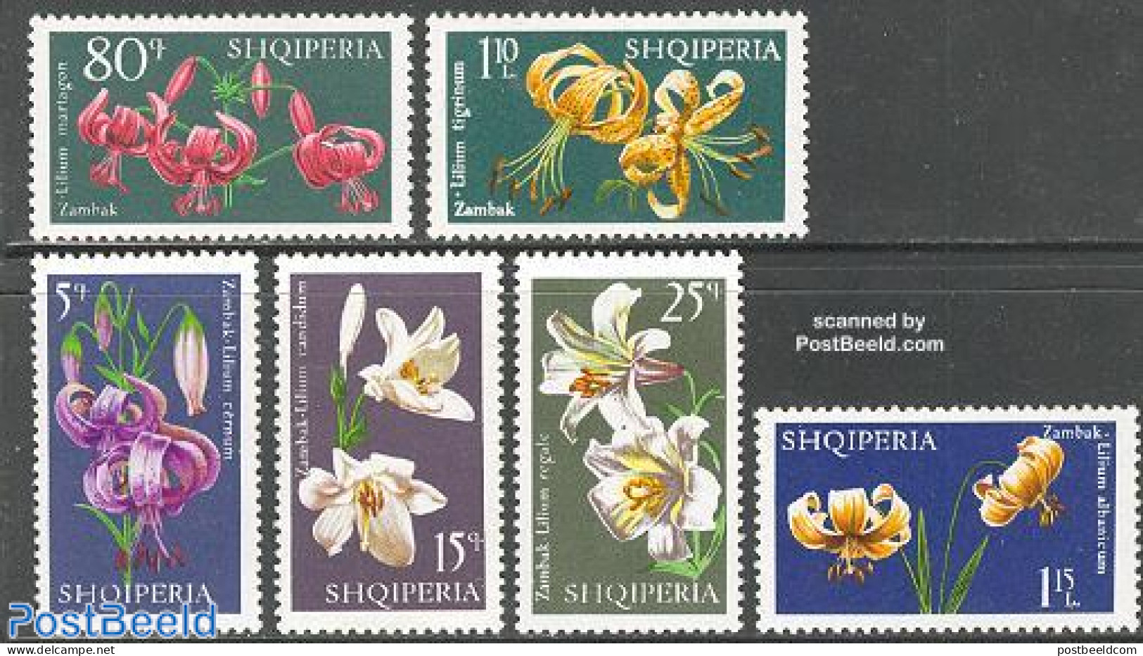 Albania 1970 Lilies 6v, Mint NH, Nature - Flowers & Plants - Albanië