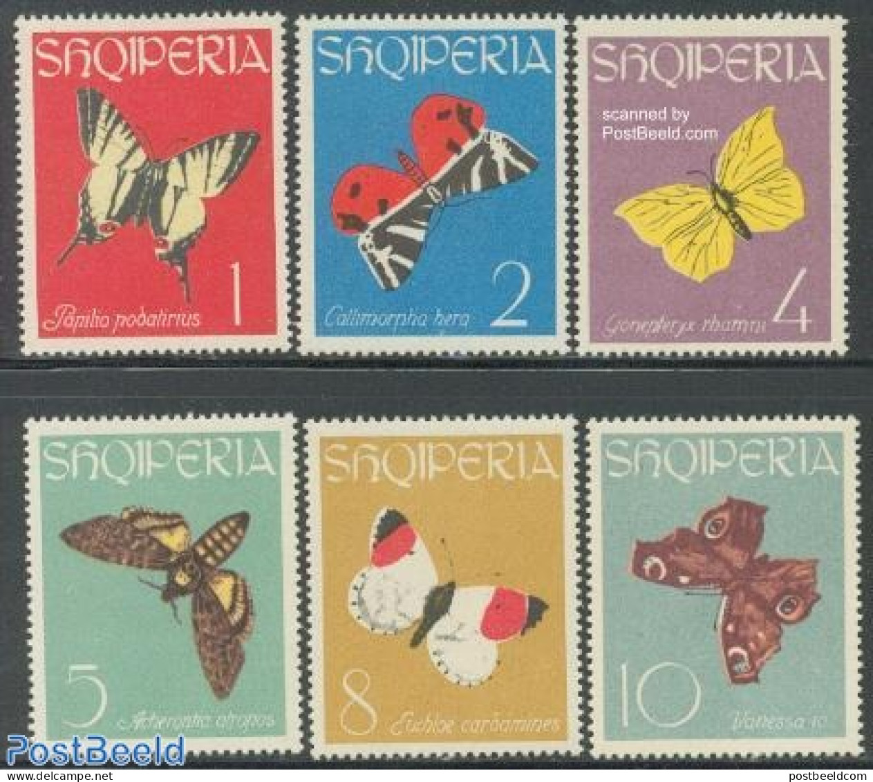 Albania 1963 Butterflies 6v, Mint NH, Nature - Butterflies - Albanie