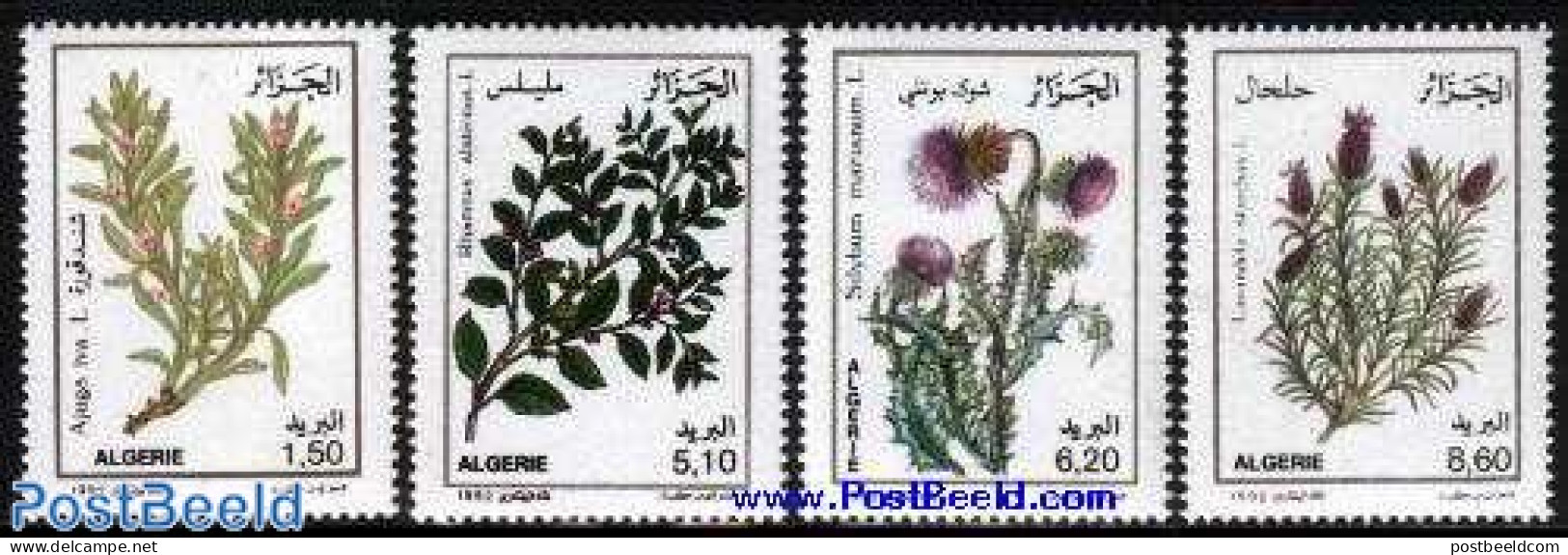 Algeria 1992 Medical Plants 4v, Mint NH, Health - Nature - Health - Flowers & Plants - Nuevos