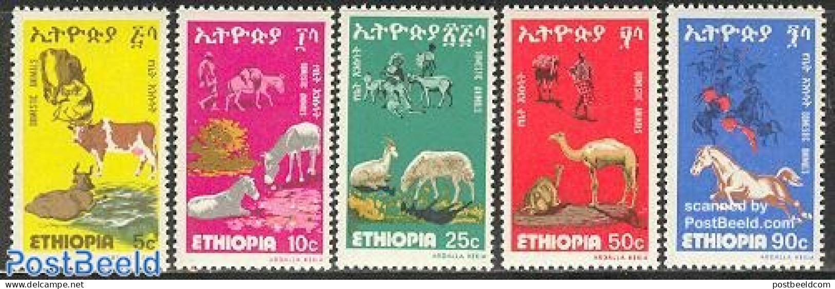 Ethiopia 1978 Domestic Animals 5v, Mint NH, Nature - Animals (others & Mixed) - Camels - Cattle - Horses - Ethiopia