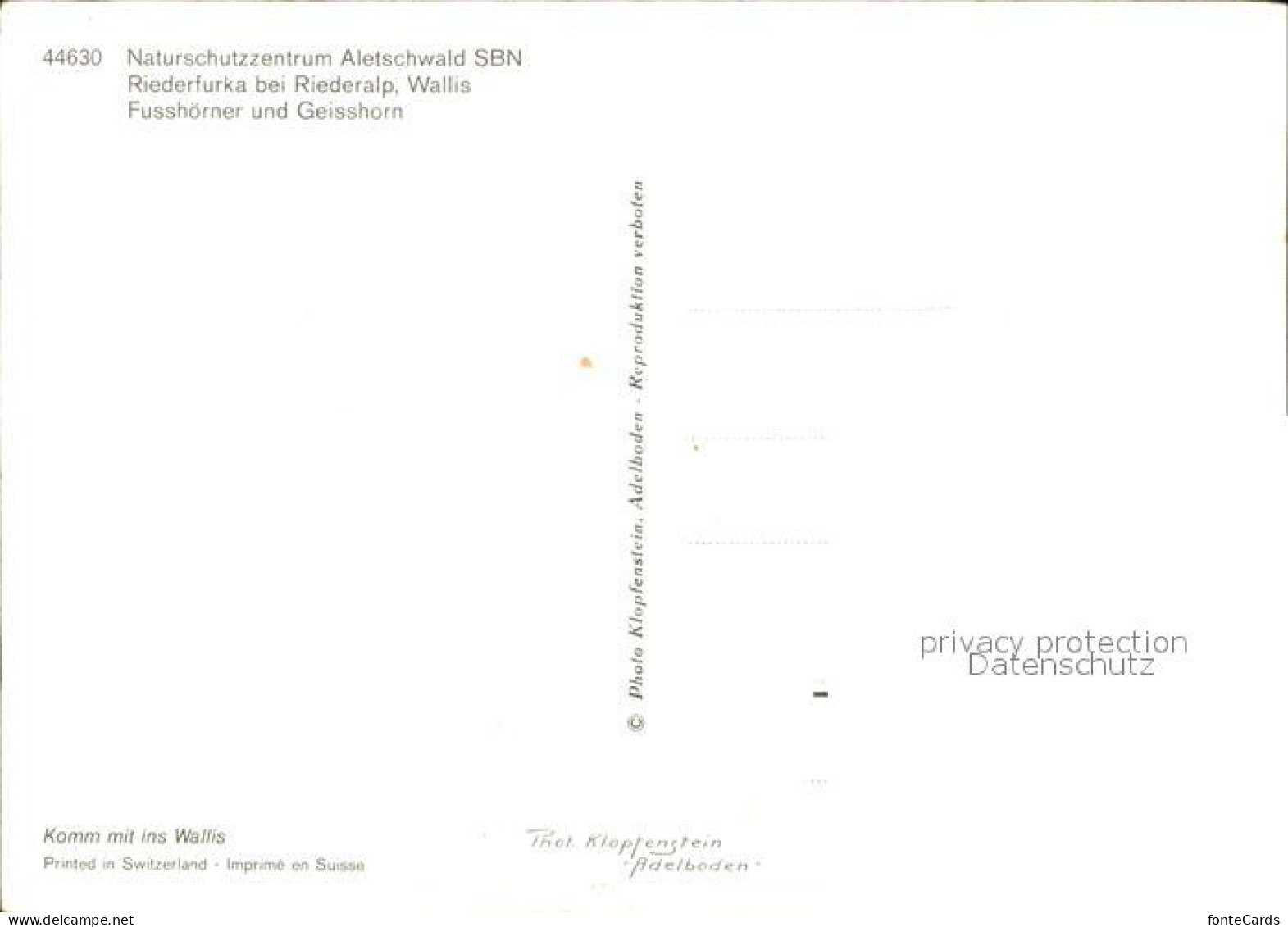 11891311 Riederfurka Hohfluh Riederalp Naturschutzzentrum Aletschwald SBN Fussho - Autres & Non Classés