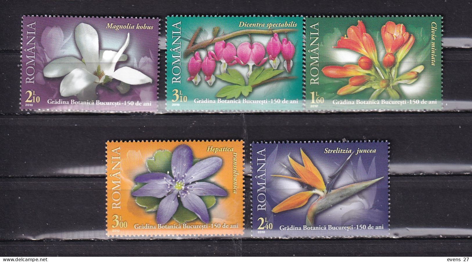 ROMANIA-2010-FLOWERS-MNH. - Other & Unclassified