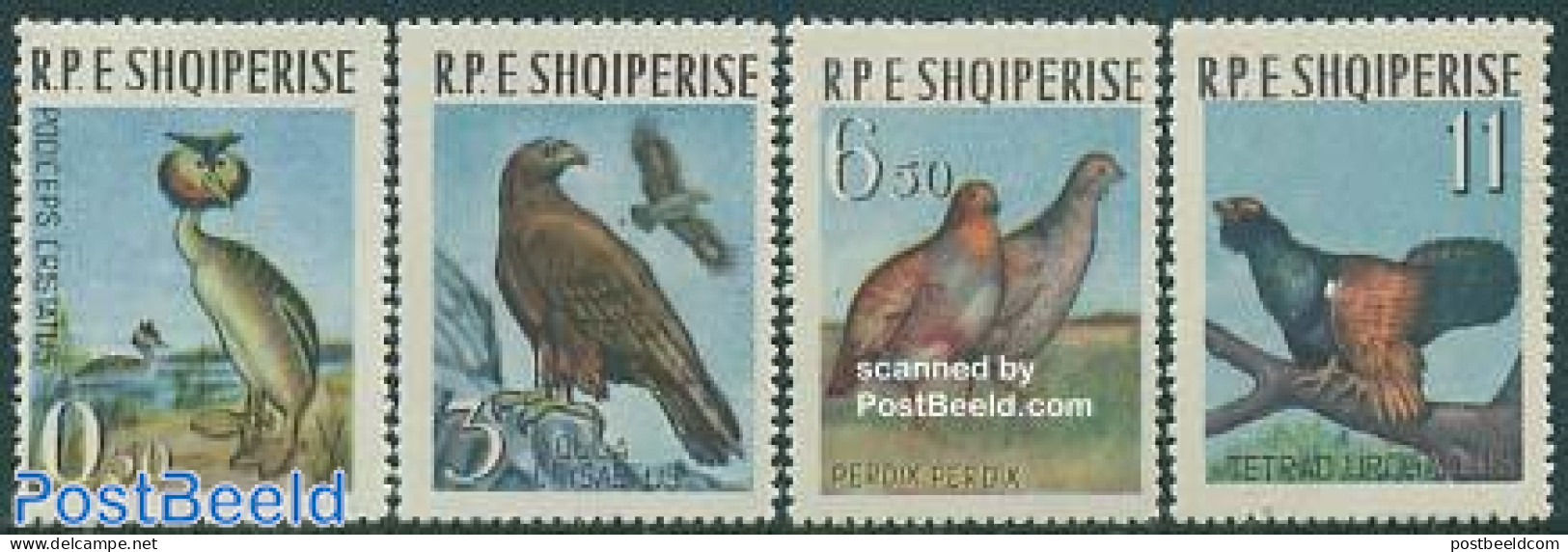 Albania 1963 Birds 4v, Mint NH, Nature - Birds - Birds Of Prey - Albanien