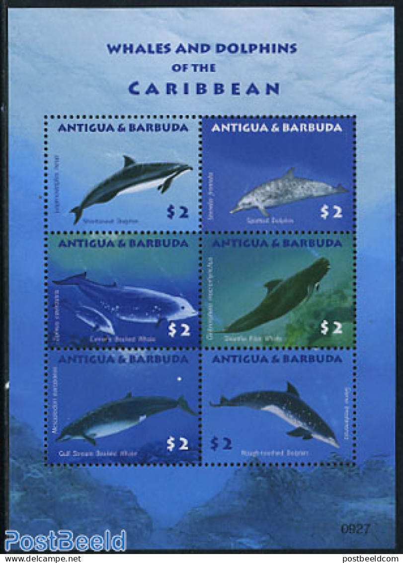 Antigua & Barbuda 2009 Whales & Dolphins 6v M/s, Mint NH, Nature - Sea Mammals - Antigua Und Barbuda (1981-...)