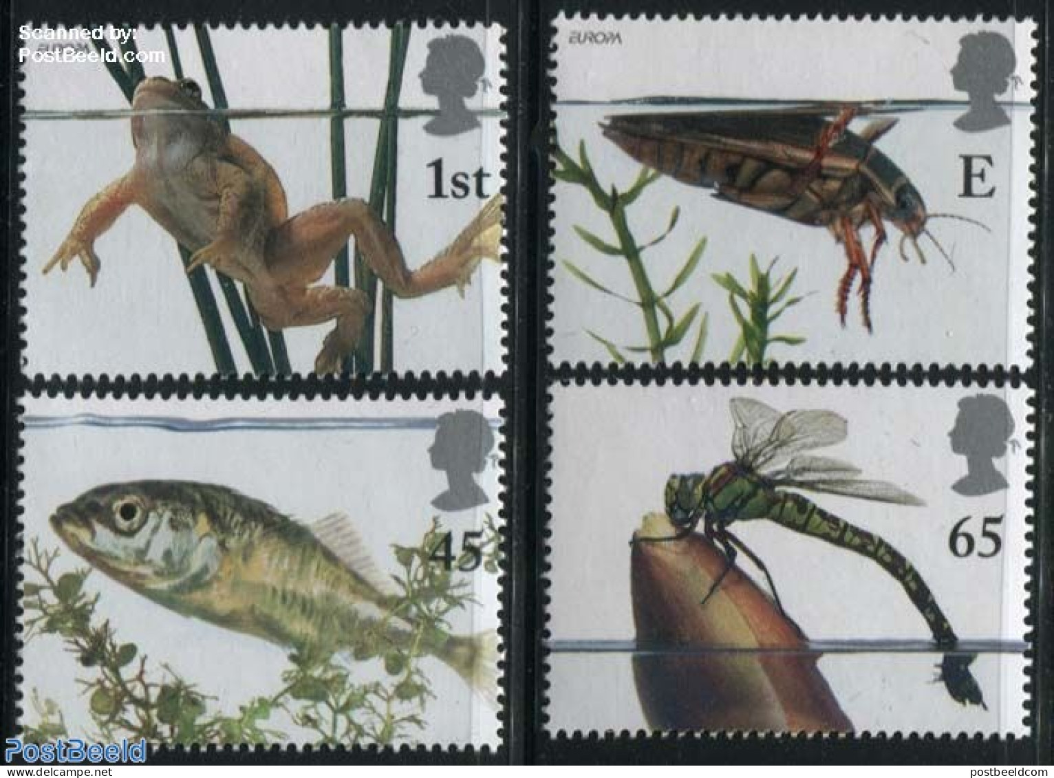 Great Britain 2001 Ponds Life 4v, Mint NH, History - Nature - Europa (cept) - Fish - Frogs & Toads - Insects - Neufs