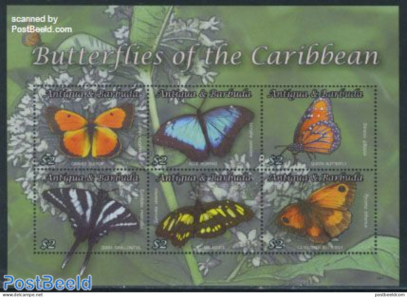 Antigua & Barbuda 2010 Butterflies Of The Caribbean 6v M/s, Mint NH, Nature - Butterflies - Antigua Et Barbuda (1981-...)
