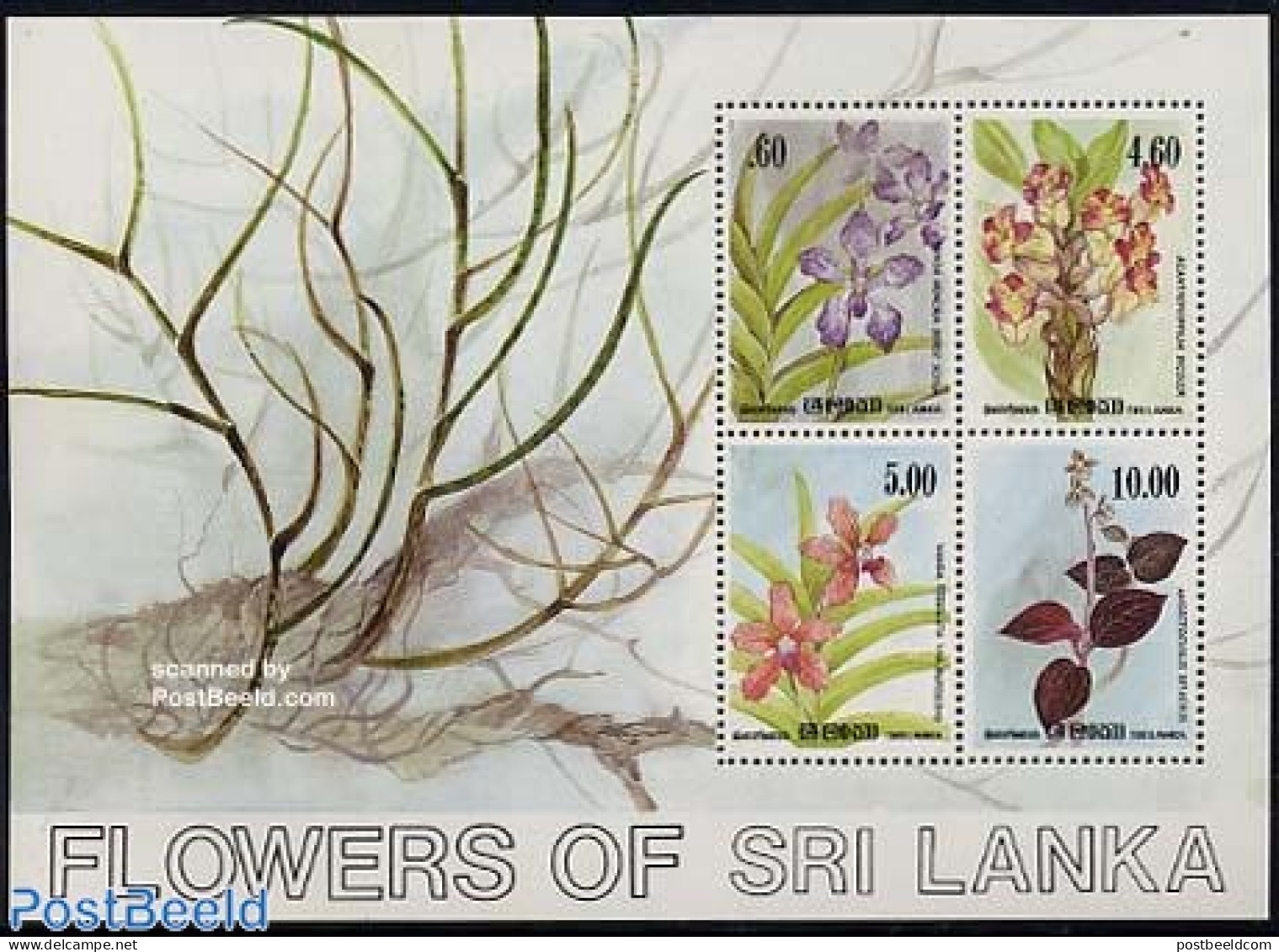 Sri Lanka (Ceylon) 1984 Orchids S/s, Mint NH, Nature - Flowers & Plants - Orchids - Sri Lanka (Ceylon) (1948-...)