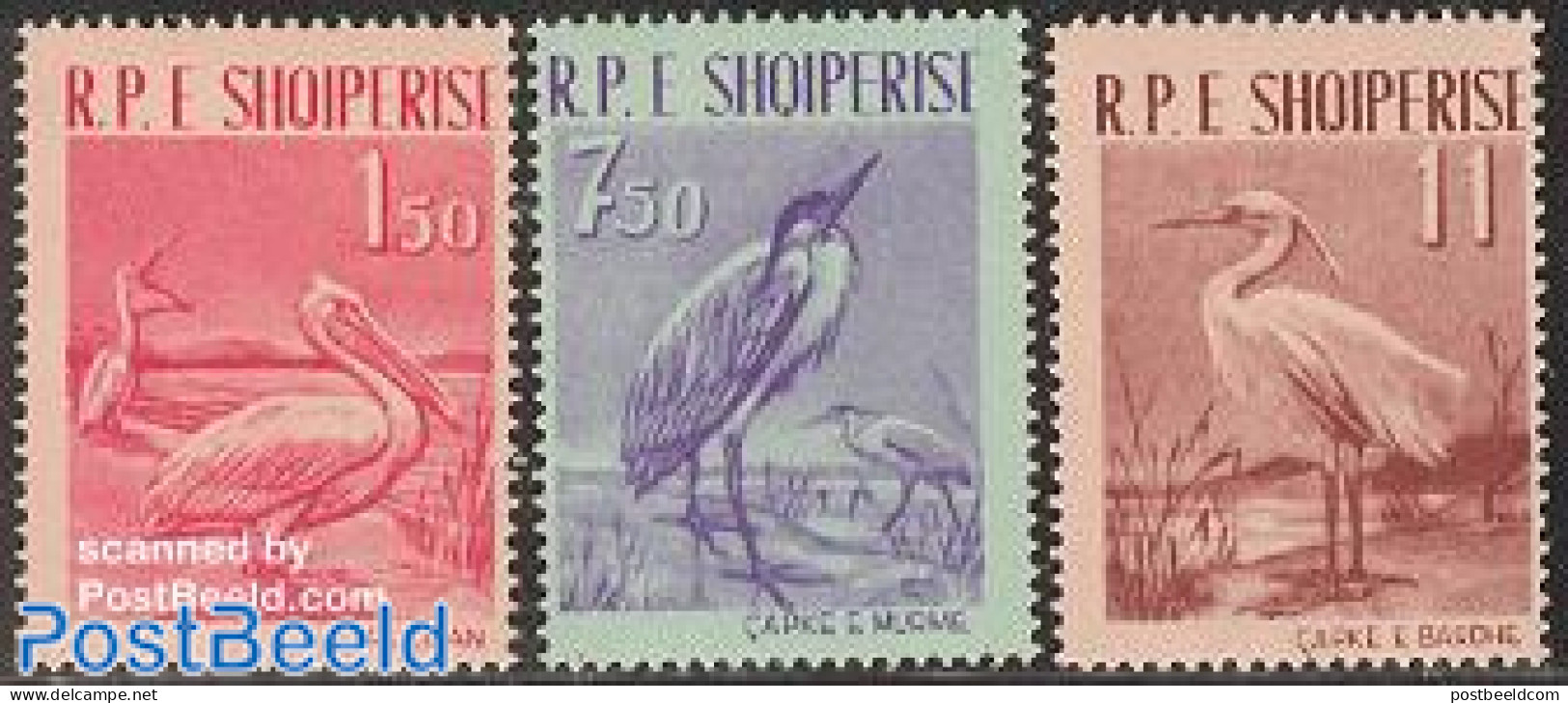 Albania 1961 Birds 3v, Mint NH, Nature - Birds - Albanie