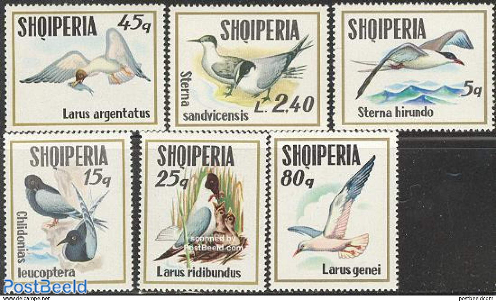 Albania 1973 Sea Birds 6v, Mint NH, Nature - Birds - Albania