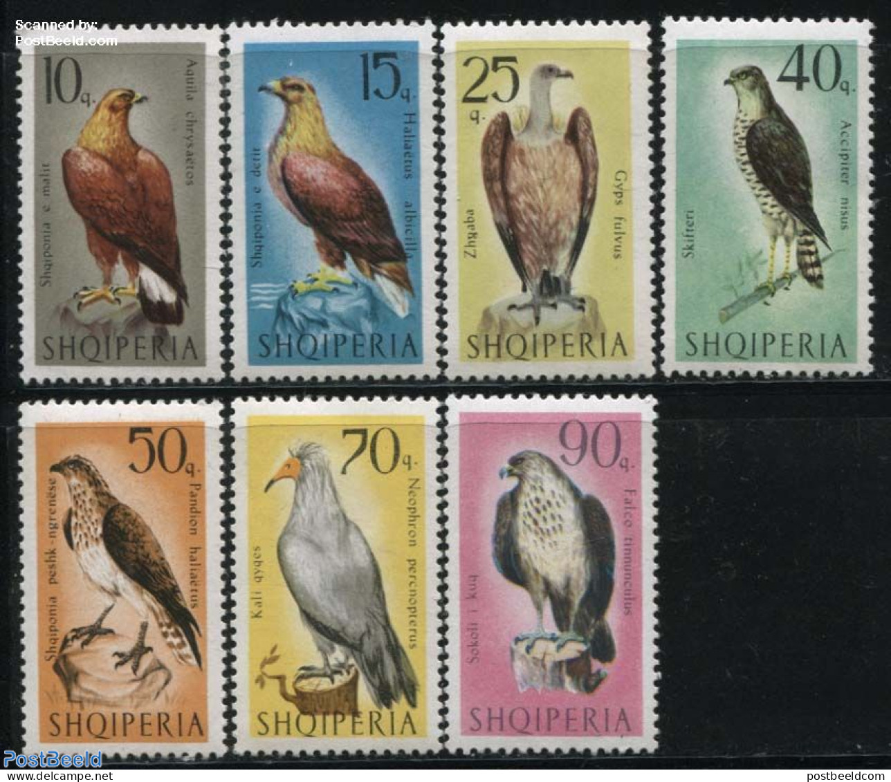 Albania 1966 Birds Of Prey 7v, Mint NH, Nature - Birds - Birds Of Prey - Albanie