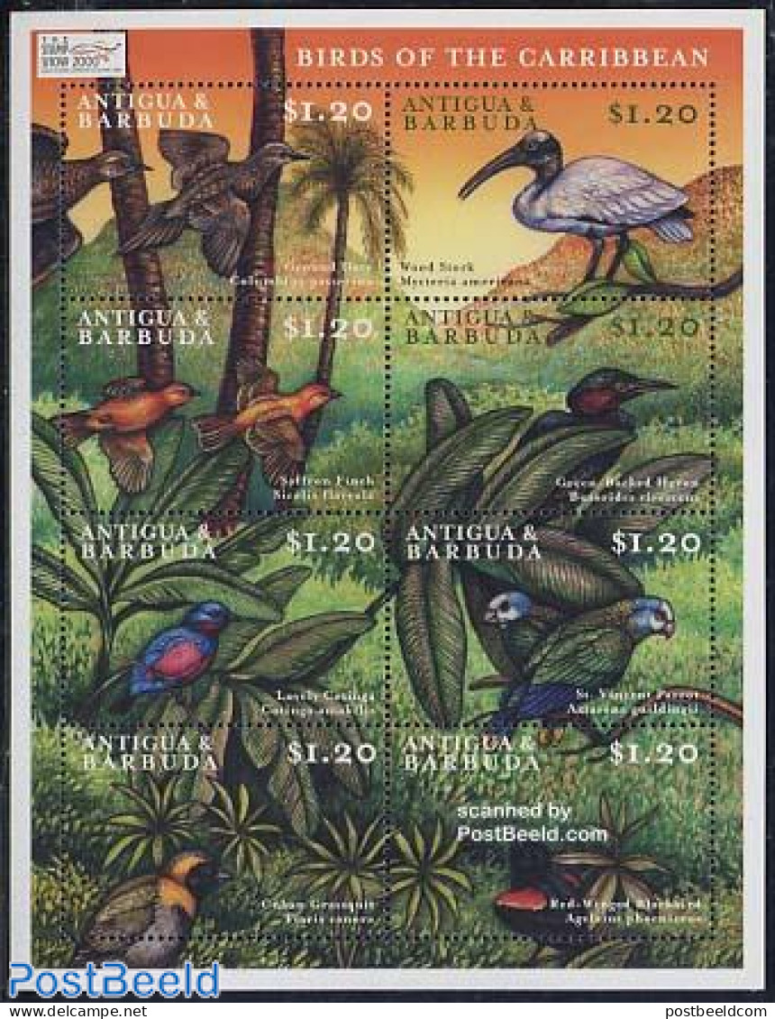 Antigua & Barbuda 2000 Birds 8v M/s, Columbina Passerina, Mint NH, Nature - Birds - Parrots - Antigua En Barbuda (1981-...)