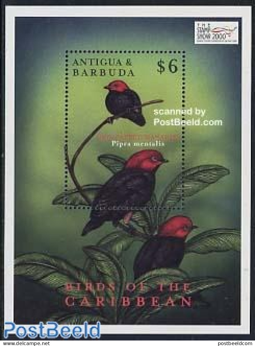 Antigua & Barbuda 2000 Birds S/s, Pipra Mentalis, Mint NH, Nature - Birds - Antigua Et Barbuda (1981-...)