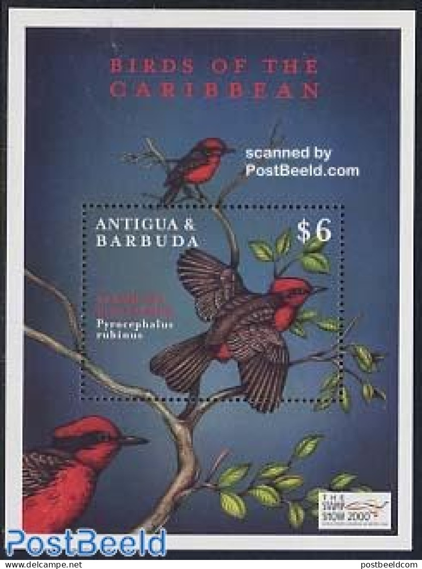 Antigua & Barbuda 2000 Birds S/s, Pyrocephalus Rubinus, Mint NH, Nature - Birds - Antigua Und Barbuda (1981-...)