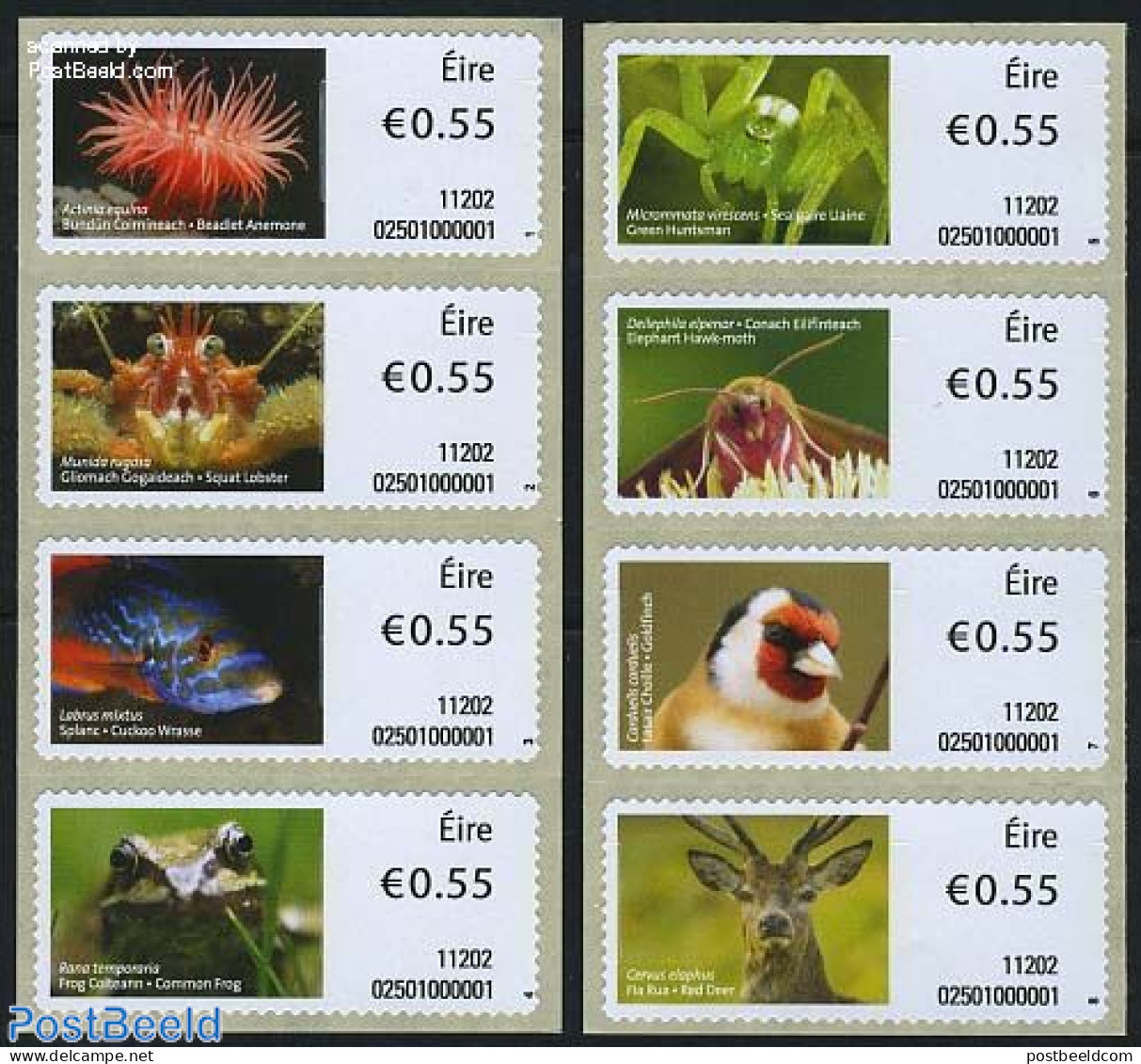 Ireland 2011 Animals 8v S-a, Mint NH, Nature - Animals (others & Mixed) - Birds - Deer - Fish - Frogs & Toads - Insect.. - Ungebraucht