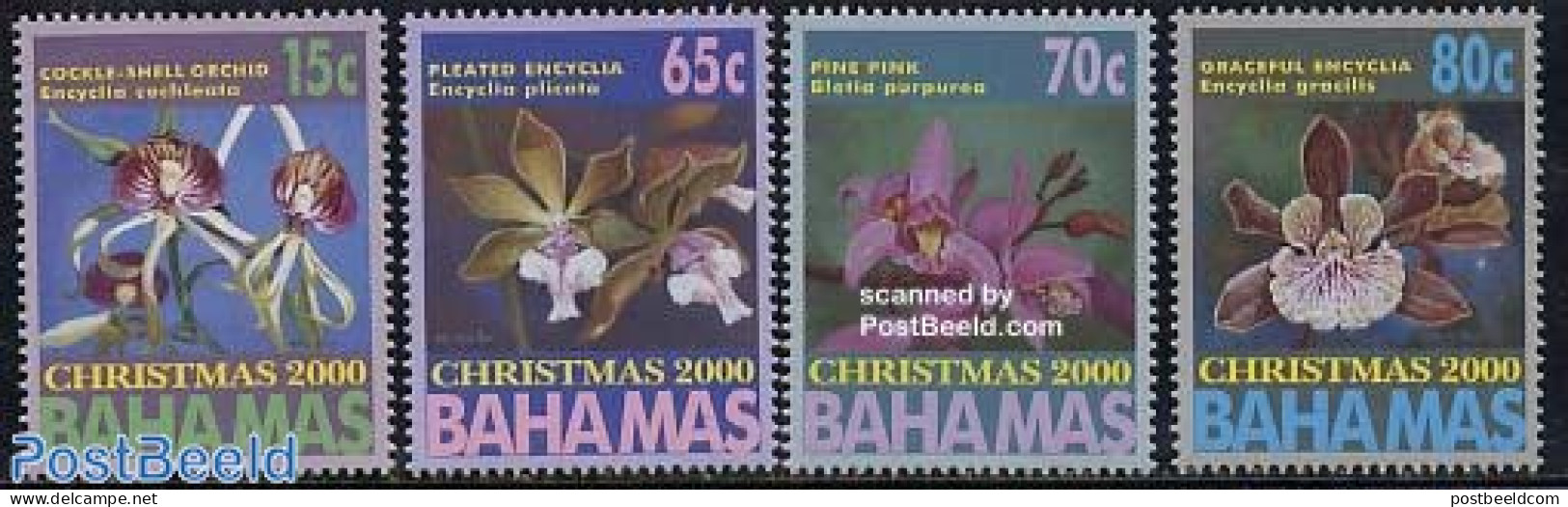 Bahamas 2000 Christmas, Orchids 4v, Mint NH, Nature - Religion - Flowers & Plants - Orchids - Christmas - Christmas