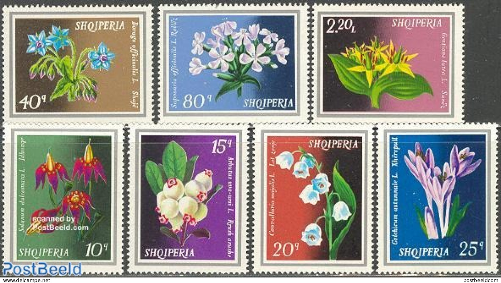 Albania 1974 Flowers 7v, Mint NH, Nature - Flowers & Plants - Albanie