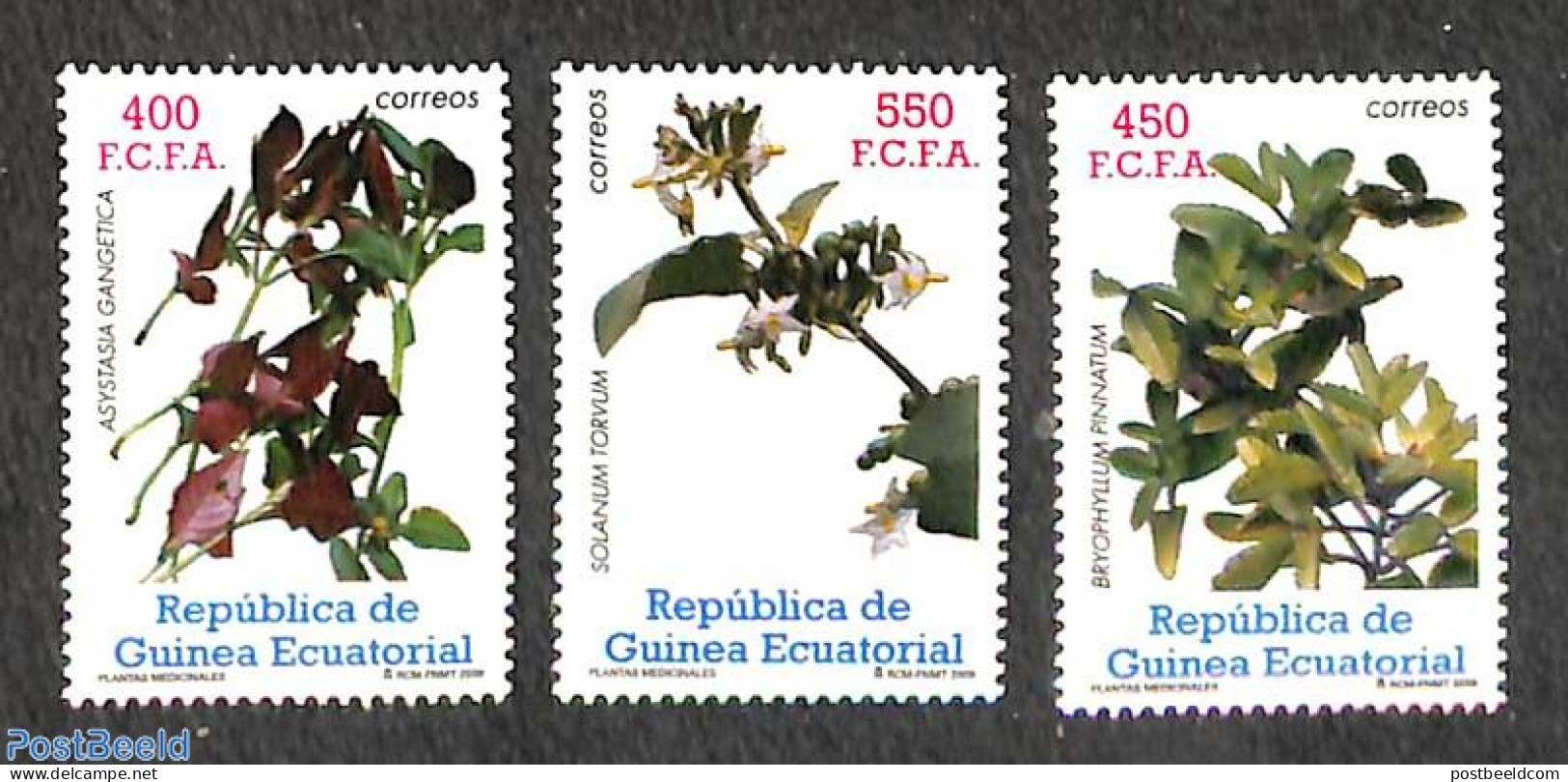 Equatorial Guinea 2009 Medical Plants 3v , Mint NH, Health - Nature - Health - Flowers & Plants - Äquatorial-Guinea