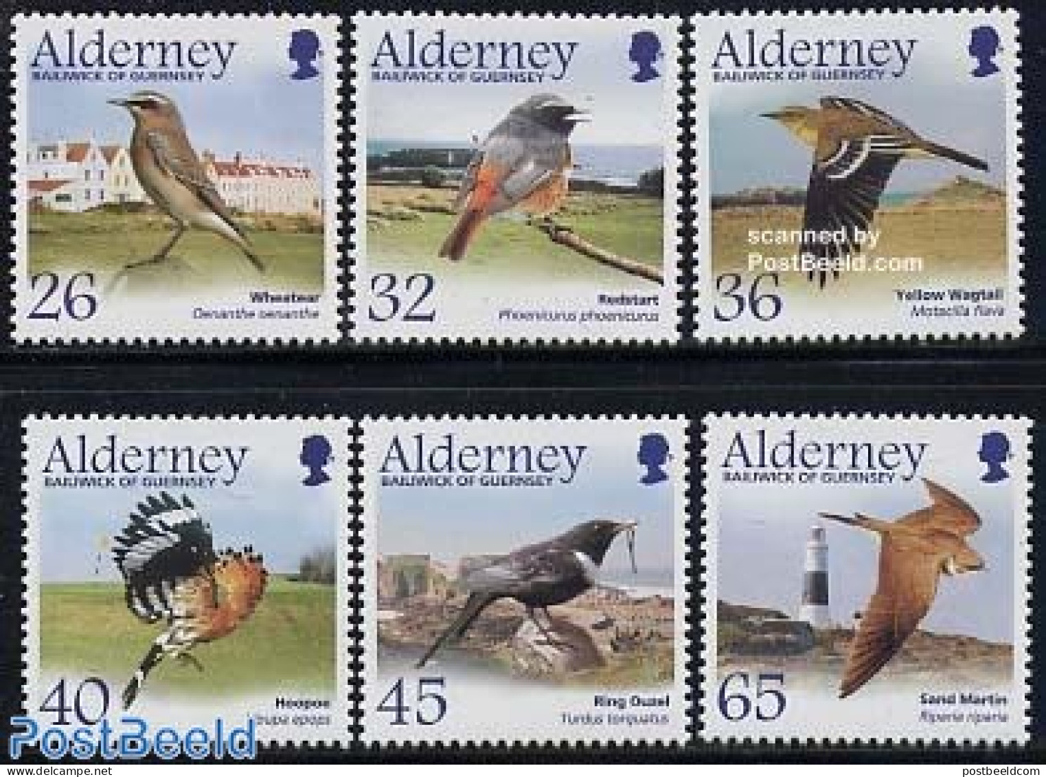 Alderney 2004 Birds 6v, Mint NH, Nature - Sport - Various - Birds - Golf - Lighthouses & Safety At Sea - Golf